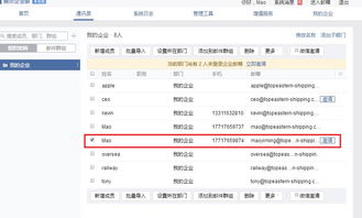上海派網 網站優化seo專家 建網站專家 上海做網站的公司