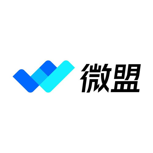 上海微盟企業(yè)發(fā)展